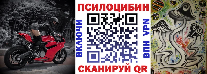 купить наркоту  Ковров  маркетплейс состав  Псилоцибиновые грибы ЛСД 
